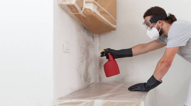 Professional Mold Inspection And Testing technician working in Union, MI